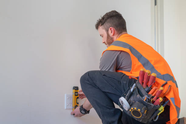 Best Electric Panel Repair  in Watseka, IL